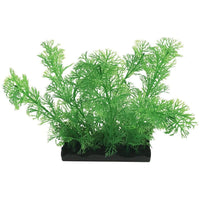 Penn Plax Green Clubmoss Bunch Plant Large, 1 count-Fish-Penn Plax-PetPhenom