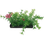 Penn Plax Green and Pink Bunch Plants Medium, 1 count-Fish-Penn Plax-PetPhenom