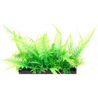 Penn Plax Ostrich Fern Bunch Plant 2", 1 count-Fish-Penn Plax-PetPhenom