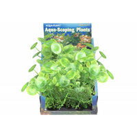 Penn Plax Pennywort Bunch Plant Medium, 1 count-Fish-Penn Plax-PetPhenom