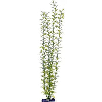 Penn Plax Sinkers Blooming Ludwigia Aquarium Plant Green, 13" tall-Fish-Penn Plax-PetPhenom