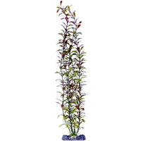 Penn Plax Sinkers Blooming Ludwigia Aquarium Plant Red, 18" tall-Fish-Penn Plax-PetPhenom