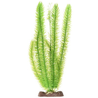 Penn Plax Sinkers Club Moss Aquarium Plant Green, 13" tall-Fish-Penn Plax-PetPhenom