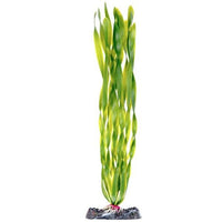 Penn Plax Sinkers Corkscrew Val Aquarium Plant Green, 13" tall-Fish-Penn Plax-PetPhenom