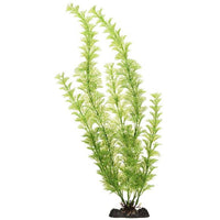 Penn Plax Sinkers Flowering Cabomba Aquarium Plant Green, 18" tall-Fish-Penn Plax-PetPhenom