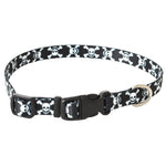 Pet Attire Styles Skulls Adjustable Dog Collar, 8"-12" Long x 3/8" Wide-Dog-Coastal Pet Products-PetPhenom