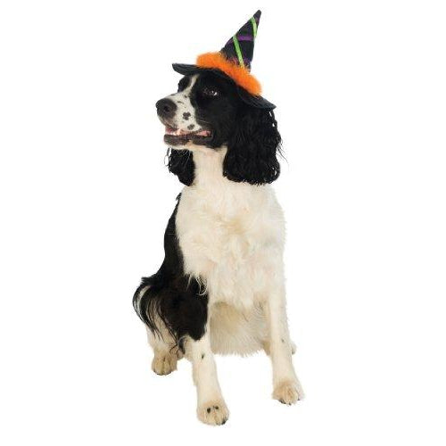 Pet Witch Hat with Trim-Costumes-Rubies-M-L-PetPhenom