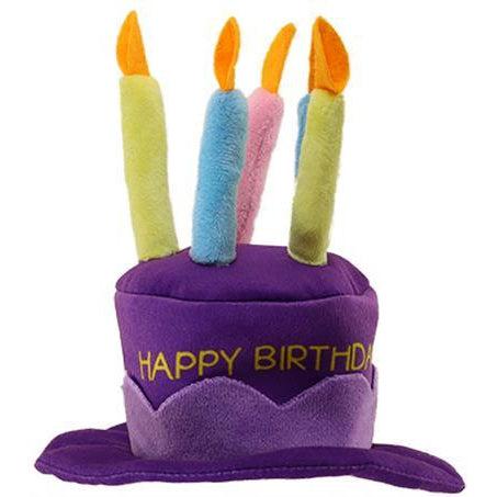 PetSport Happy Birthday Party Hat-Dog-PetSport-PetPhenom