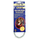 PetSport USB Rechargeable LED Safety Collar-Dog-PetSport-PetPhenom