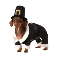 Pilgrim Boy-Costumes-Rubies-Small-PetPhenom