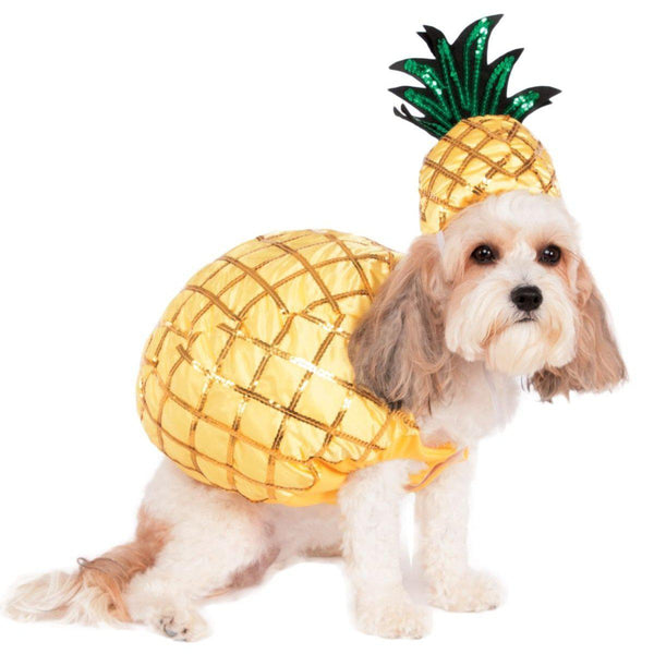 Pineapple-Costumes-Rubies-Small-PetPhenom