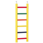 Prevue Carpenter Creations Hardwood Bird Ladder Assorted Colors, 6 Rung 12" Long-Bird-Prevue Pet Products-PetPhenom