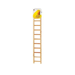Prevue Pet Products Birdie Basics Wood Ladder 11-Rung-Bird-Prevue-PetPhenom