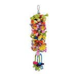 Prevue Pet Products Calypso Creations Club Bird Toy-Bird-Prevue-PetPhenom