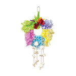 Prevue Pet Products Calypso Creations Ropes and Shell Ring-Bird-Prevue-PetPhenom