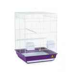 Prevue Pet Products Cockatiel Home - Purple (Graphic Carton)-Bird-Prevue Pet Products-PetPhenom