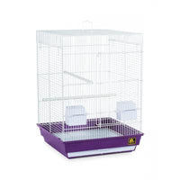 Prevue Pet Products Cockatiel Home - Purple (Graphic Carton)-Bird-Prevue Pet Products-PetPhenom