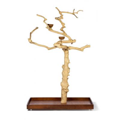 Prevue Pet Products Coffeawood Tree Style #1 Floor Stand Medium-Bird-Prevue Pet Products-PetPhenom