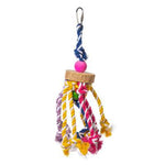 Prevue Pet Products Court Jester-Bird-Prevue Pet Products-PetPhenom