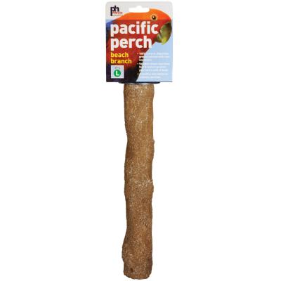 Prevue Pet Products Prevue Pet Products Pacific Perch Beach Branch Large-Bird-Prevue Pet Products-PetPhenom
