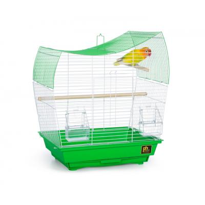 Prevue Pet Products Southbeach Green/White Wave Top-Bird-Prevue Pet Products-PetPhenom