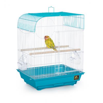 Prevue Pet Products Southbeach Teal/White Flat Top-Bird-Prevue Pet Products-PetPhenom