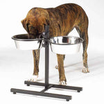 ProSelect Adjustable Height Diners with Bowls -Large - 160 oz. Bowls-Dog-ProSelect-PetPhenom