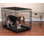 ProSelect Everlasting Crates with Dual Doors -L - 42" x 28" x 31"-Dog-ProSelect-PetPhenom