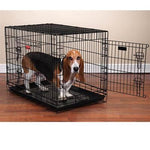 ProSelect Everlasting Crates with Dual Doors -M/L - 36" x 23" x 26"-Dog-ProSelect-PetPhenom