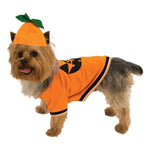 Pumpkin Pet Costume-Costumes-Rubies-XS-PetPhenom