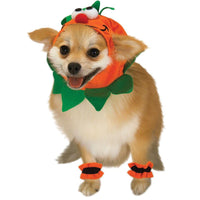 Pumpkin Pet-Costumes-Rubies-Small-PetPhenom