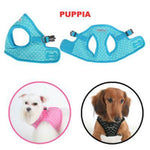 Puppia® Dotty Harness B - Blue (SK) - Large-Dog-Puppia®-PetPhenom