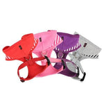 Puppia® Halcyon Harness - Violet - Large-Dog-Puppia®-PetPhenom