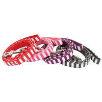 Puppia® Halcyon Lead - Medium - Grey-Dog-Puppia®-PetPhenom