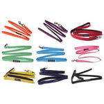 Puppia® Two Tone Lead - Red (RE) - Small-Dog-Puppia®-PetPhenom