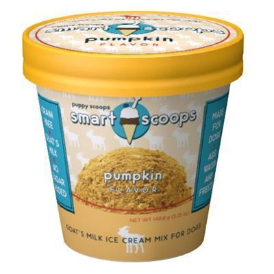 Puppy Cake Smart Scoops Goat's Milk Ice Crm Mix - Pumpkin-Dog-Puppy Cake LLC-PetPhenom