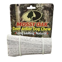 QT Dog - Mossy Oak Antler Chew -Medium-Dog-QT Dog-PetPhenom