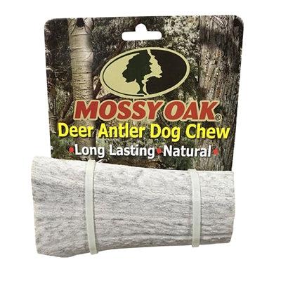 QT Dog - Mossy Oak Antler Chew -Small-Dog-QT Dog-PetPhenom