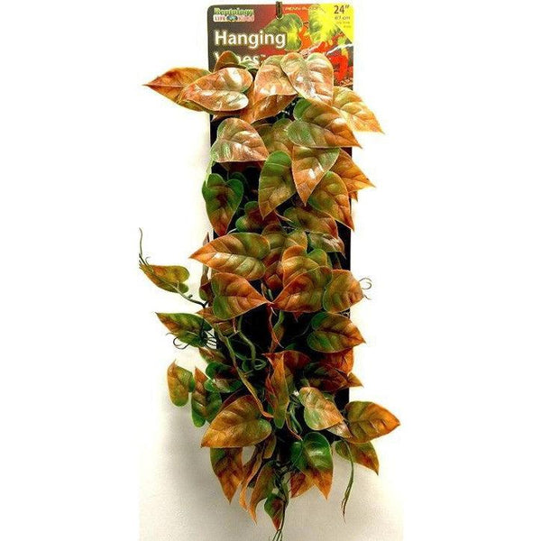 Reptology Reptile Hanging Vine Green and Brown, 24" Long-Small Pet-Reptology-PetPhenom