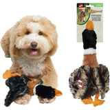SPOT Skinneeez Mini Mallard Duck 13 Inch Stuffing-Free Squeaky Dog Toy, Assorted Styles