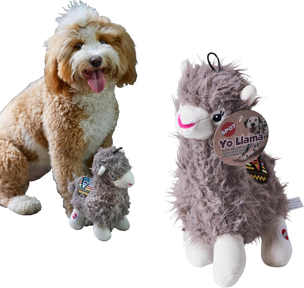 SPOT Yo Llama Plush Dog Toy with Squeaker Assorted Colors - 10 Inch