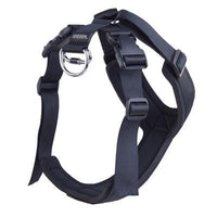 Sherpa Pet Trading Co. Sherpa® Crash Tested Seatbelt Safety Harness, Black -Medium-Dog-Sherpa Pet Trading Co.-PetPhenom