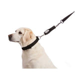 Sherpa Pet Trading Co. Sherpa® Ultrasonic No Pull Dog Training Lead-Dog-Sherpa Pet Trading Co.-PetPhenom