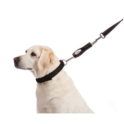 Sherpa Pet Trading Co. Sherpa® Ultrasonic No Pull Dog Training Lead-Dog-Sherpa Pet Trading Co.-PetPhenom