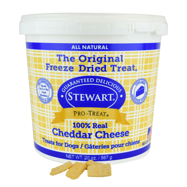 Stewart Freeze Dried Cheddar Cheese Dog Treats, 20 oz-Dog-Stewart-PetPhenom