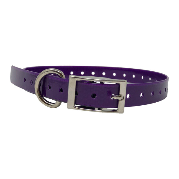 The Buzzard's Roost Replacement Collar Strap 3/4" Purple 3/4" x 24"-Dog-The Buzzard's Roost-PetPhenom