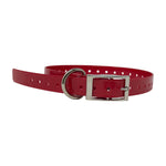 The Buzzard's Roost Replacement Collar Strap 3/4" Red 3/4" x 24"-Dog-The Buzzard's Roost-PetPhenom