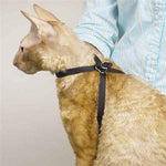 Top Performance Adjustable Nylon Cat Harness-Dog-Top Performance-PetPhenom