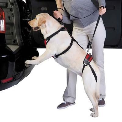 Total Pet Health Lift & Go Lds - Red -X-Large-Dog-Total Pet Health-PetPhenom