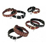 Weaver Spike's Collar Doubled and Stitched Black 1" x 25"-Dog-Weaver-PetPhenom